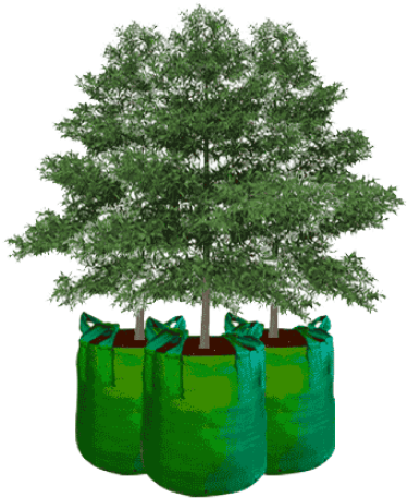 Planter Bag Eco Pack